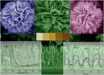 Nanoscale2.jpg